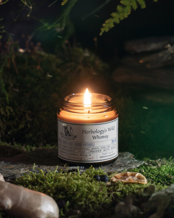 Herbology's Wild Whimsy / A Gyógynövénytan Vad Hóbortja - szójagyertya