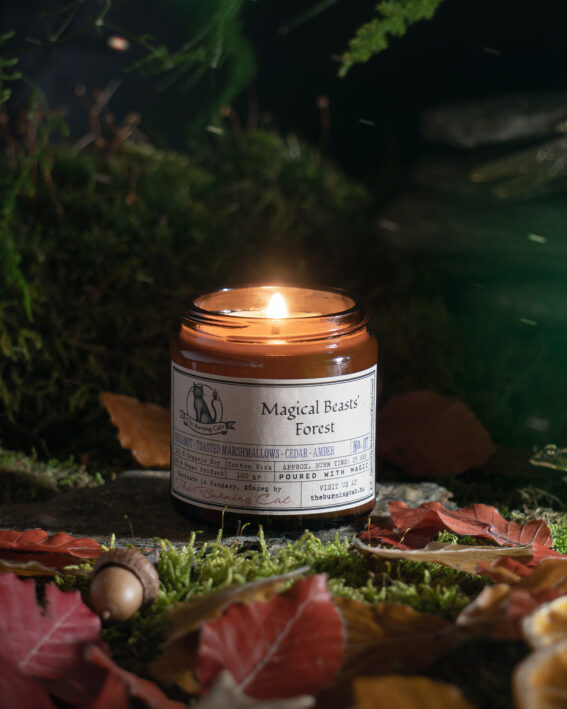 Magical Beasts' Forest / Mágikus Bestiák Erdeje - szójagyertya