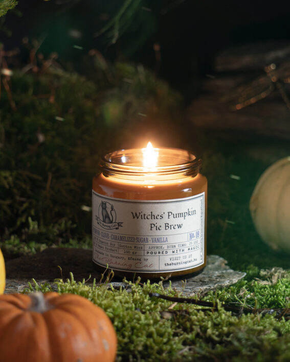 Witches' Pumpkin Pie Brew / Boszorkányok Sütőtökös Pite Főzete - szójagyertya