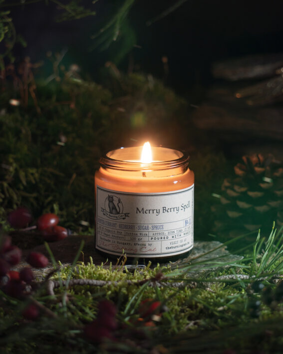 Merry Berry Spell / Ünnepi Bogyós Varázslat - szójagyertya