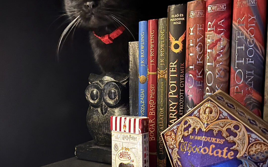 Panka már a csillagok között dorombol 🖤