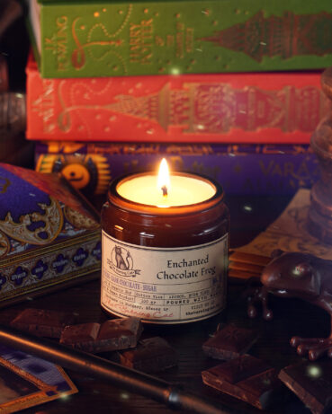 Enchanted Chocolate Frog - Elvarázsolt csokibéka_3